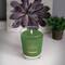 Root Candles 10.5oz. Large Scented Honeycomb Veriglass Jar Candle